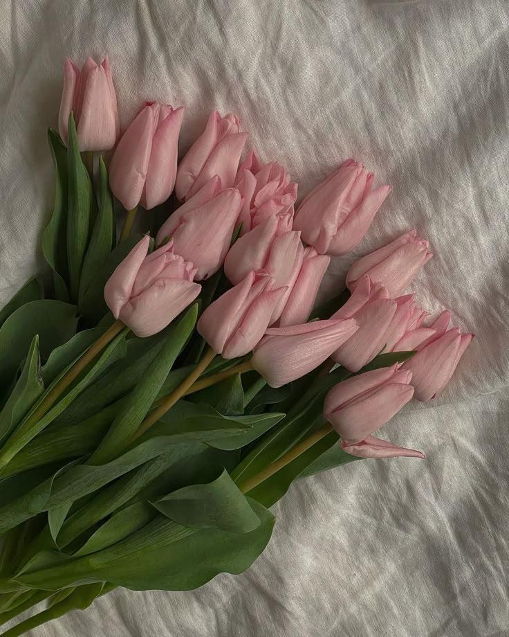 Serenity's Embrace: Pastel Petal Harmony